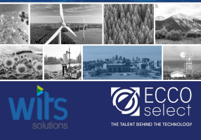 Wits Solutions